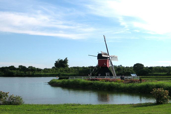 不用出國就能體驗到荷蘭的風車童話 (圖片來源／德元埤荷蘭村)