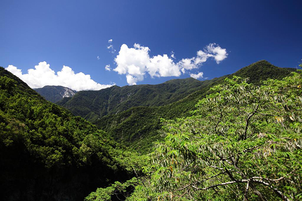 百年名湯 X 山巒美景  瓦拉米步道俯瞰一切