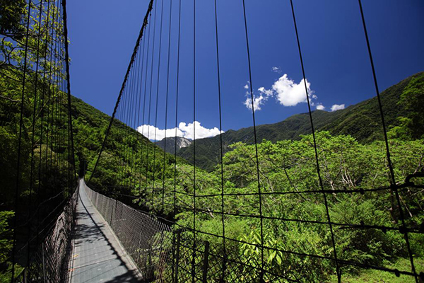 俯瞰山景與原始森林的吊橋 (圖片來源／花蓮縣政府)