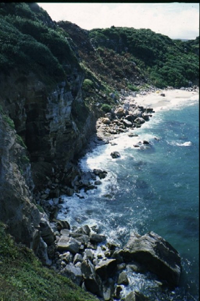 映入眼簾的湛藍海岸 (圖片來源／金山區公所)