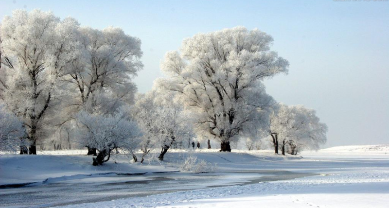 東北方的美麗雪景 (圖片來源／中國村鎮資源網)