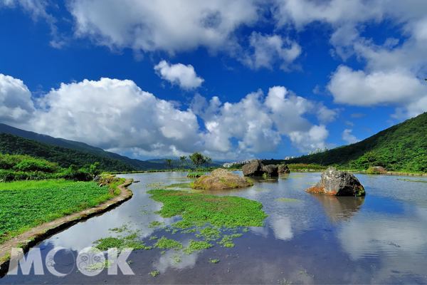 八煙聚落水中央映照天空美景 (圖片提供／新北市農業局)