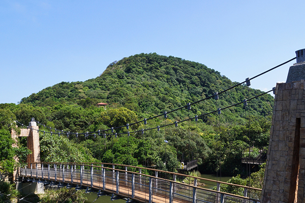 從腳下俯瞰溪谷的吊橋 (圖片來源／北海岸及觀音山國家風景區管理處)