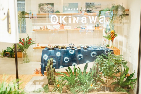 「haveAnice...OKINAWA」 (圖片提供／Photo by FUJIN TREE haveAnice)