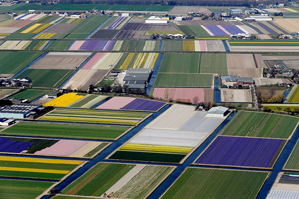 庫肯霍夫公園空拍照 (圖片來源／Visit Keukenhof)