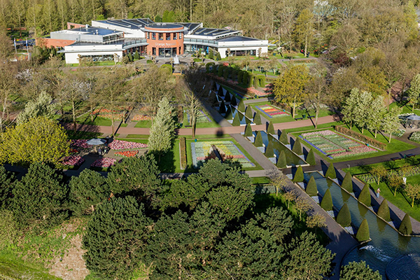 從熱氣球上的觀賞角度 (圖片來源／Visit Keukenhof)