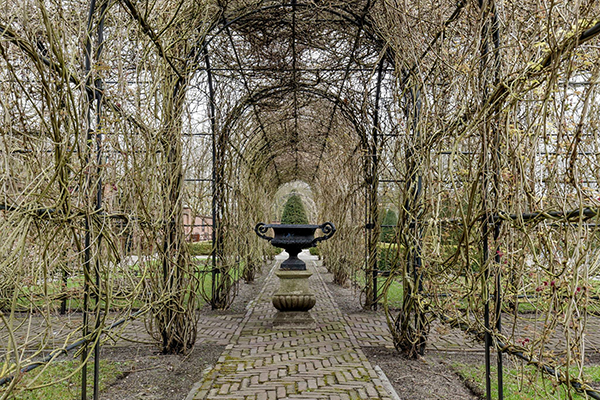 藤蔓環繞的花園走道 (圖片來源／Visit Keukenhof)