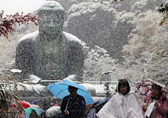 東京都、關東地區11月初雪，鐮倉大佛也出現雪景。(圖片來源／時事通信)