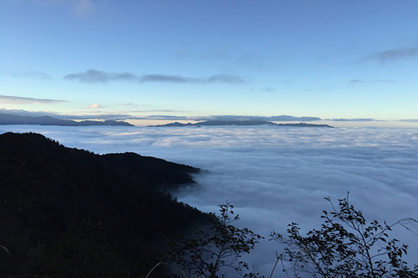 千變萬化的雲海景觀 (圖片來源／太平山國家森林遊樂區)