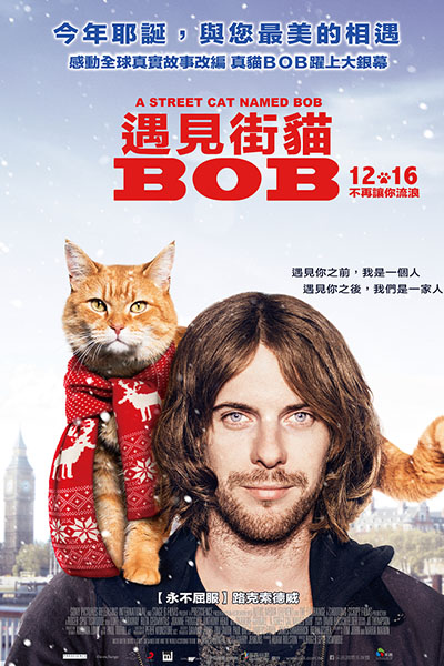 【遇見街貓BOB】海報。(圖片提供／采昌國際)
