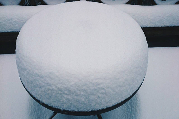 超療癒蘑菇雪景 (圖片來源／力麗馬告生態園區)