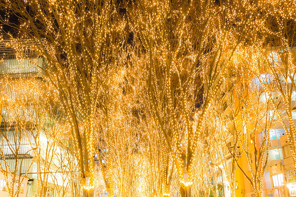 金黃照亮整座仙台市 (圖片來源／SENDAI光之盛會)