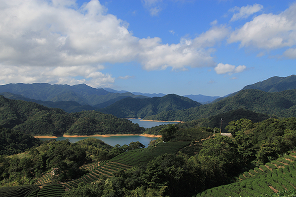 坪林八卦茶園 (圖片來源／經濟部水利署)