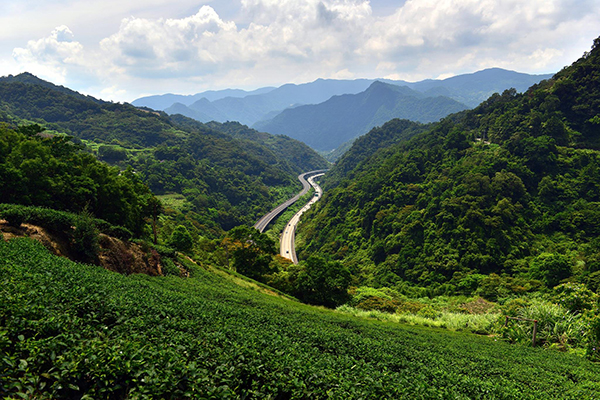 坪林山間的北宜公路 (圖片來源／新北市坪林茶業博物館)