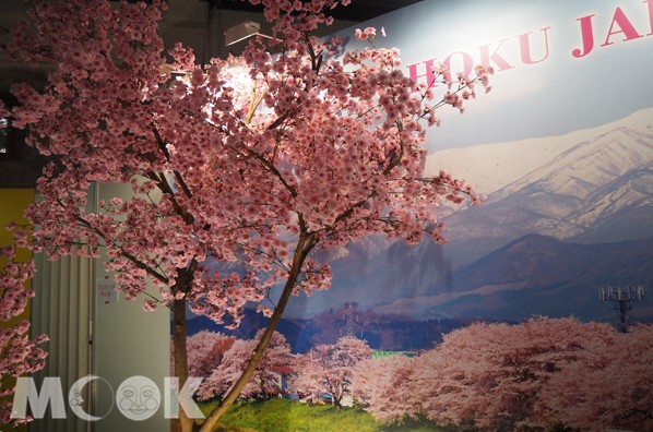 美麗的櫻花樹造景。(攝影／MOOK景點家張盈盈)