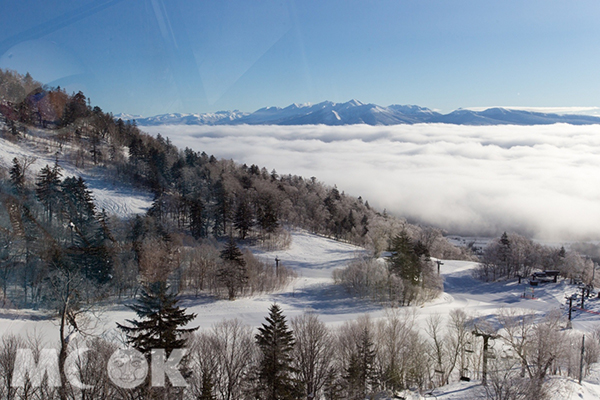 富良野滑雪場可以體驗家族滑雪樂園 (圖片提供／王子大飯店)