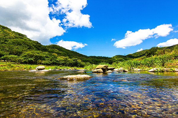 雙流森林園區以清澈的溪流著名 (圖片來源／雙流國家森林遊樂區)