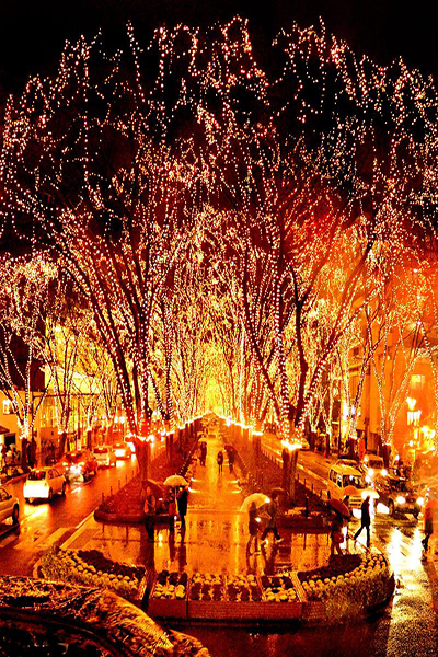 仙台以與大自然融合一體的現代化城市聞名日本，冬季點燈更是東北最閃爍的景點 (圖片來源／SENDAI光之盛會)