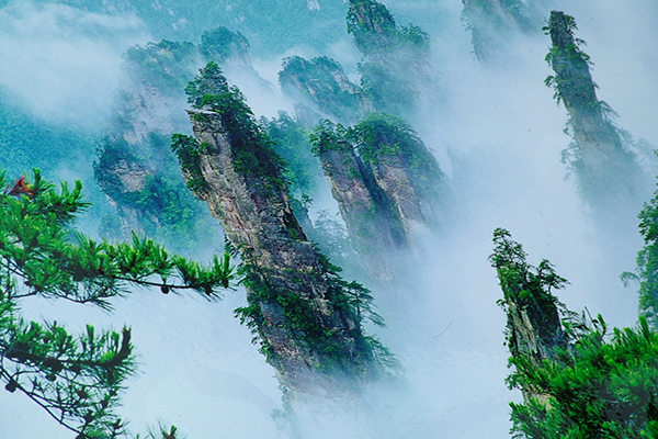 中國的張家界素有「奇峰三千，秀水八百」的美譽，有鬼斧神工般的自然奇景 (圖片來源／Wikipedia)