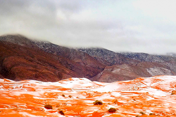 撒哈拉沙漠覆蓋一層雪好似岩漿竄流 (圖片來源／Karim Bouchetata - Geoff Robinson Photography)