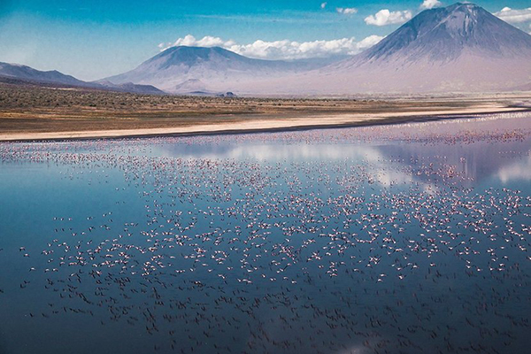 年輕攝影師獎作品，坦桑尼亞 Lake Natron 的紅鶴 (圖片來源／TPOTY)