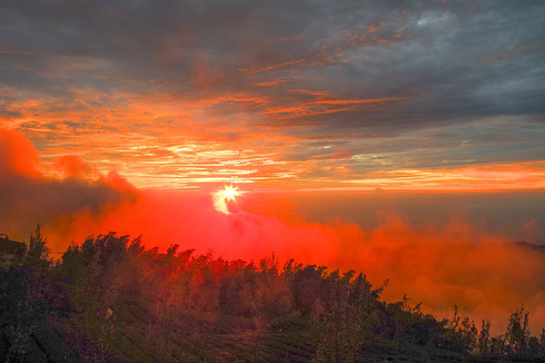 好似火燒雲層的大崙山夕陽 (圖片來源／武岫農圃)
