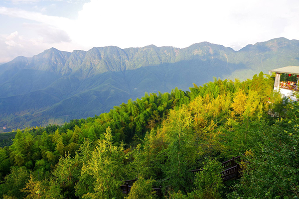 白天的大崙山與武岫農圃都可以看見翠綠的山色 (圖片來源／武岫農圃)