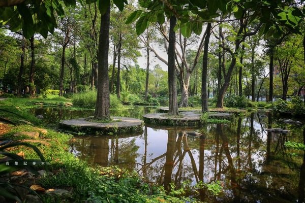 大東濕地公園美麗的景緻被網友稱為迷你版的忘憂森林，也是IG上網友合影與打卡熱門景點。（圖片來源／高雄記事本）
