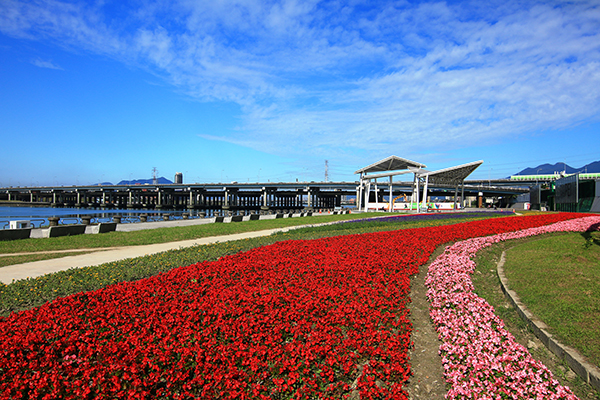 延平河濱的敦煌碼頭，種植72,000盆花草來營造花毯圖騰 (圖片來源／水利工程處)