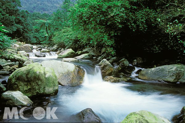 松羅國家步道內宛如一處不受打擾的人間仙境，造訪此地的旅客總是讚嘆不已，腳下就是生態豐富的松羅溪 (圖片提供／墨刻編輯部)