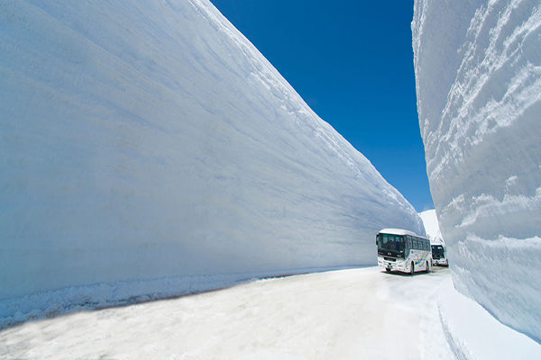 立山春季最不可錯過的是阿爾卑斯山脈路線的大雪谷巨大的雪壁宛若不同世界的光景 (圖片來源／立山黑部)
