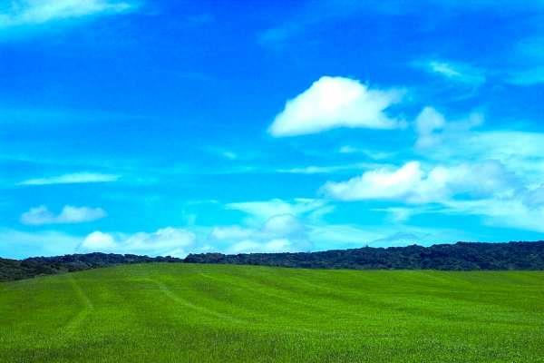 輕鬆拍出曠野美景  精選全台五大草原秘境