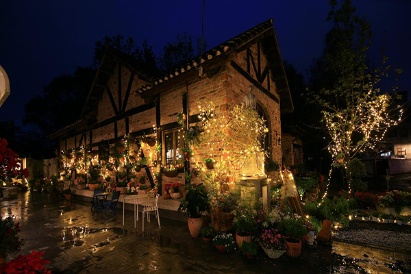 入夜的文心花園咖啡館更有夢境氛圍 (圖片來源／文心園・花園咖啡)