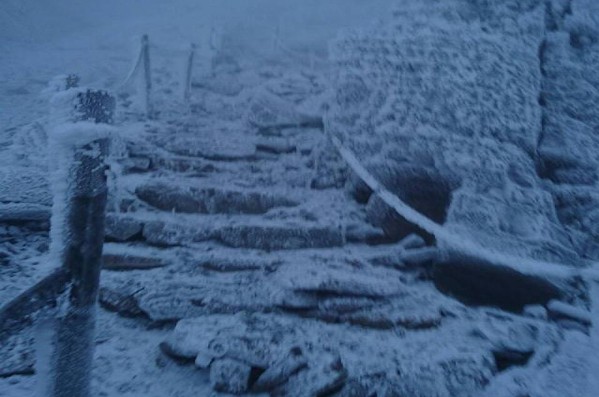 玉山山上棧道也有積雪。(圖片來源／玉山管理處)