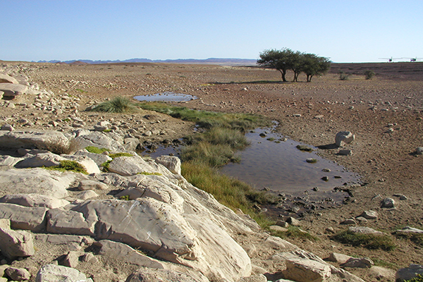 骷髏海岸仍有一些山脈河流，大部分河流往往還未進入大海就已經乾涸了 (圖片來源／Skeleton Coast Safaris)