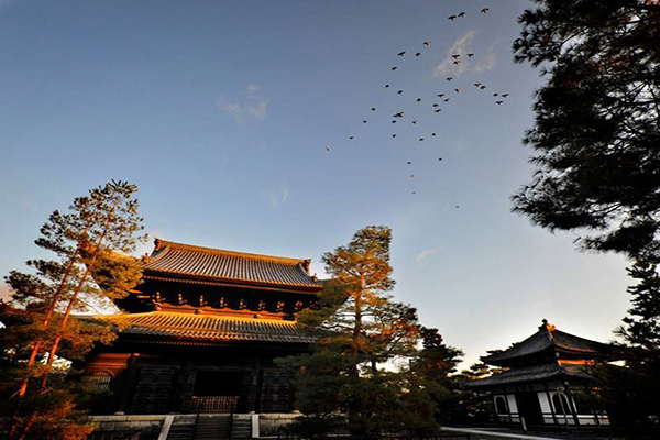 京都的妙心寺可以享受到正統的宿坊體驗 (圖片來源／妙心寺)