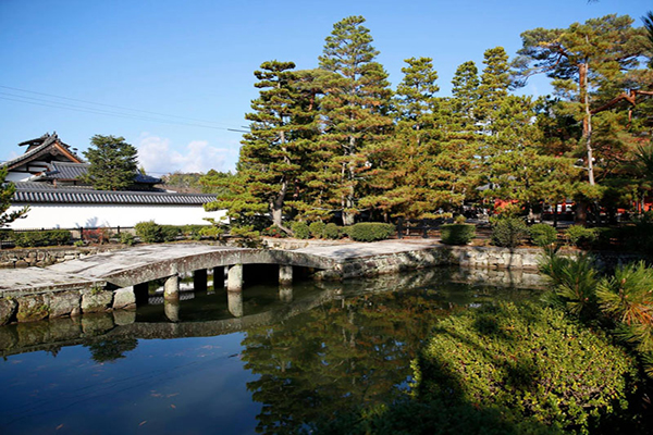 京都的人氣妙心寺分為東林院與大心院，寺院內充滿風情的木造走廊延伸在整棟建築之中 (圖片來源／妙心寺)