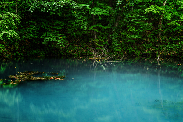 北海道第二青池  公園沼澤秘境大公開