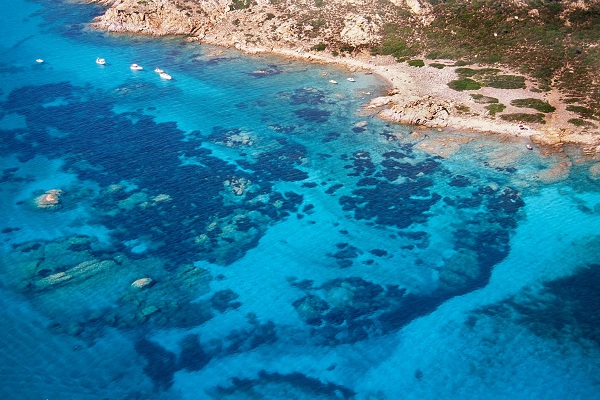 塔沃拉臘島清澈如鏡的海岸 (圖片來源／Area Marina Protetta Tavolara Punta Coda Cavallo)