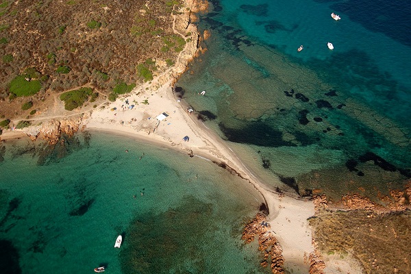 塔沃拉臘島附近的沙灘化石 (圖片來源／Area Marina Protetta Tavolara Punta Coda Cavallo)