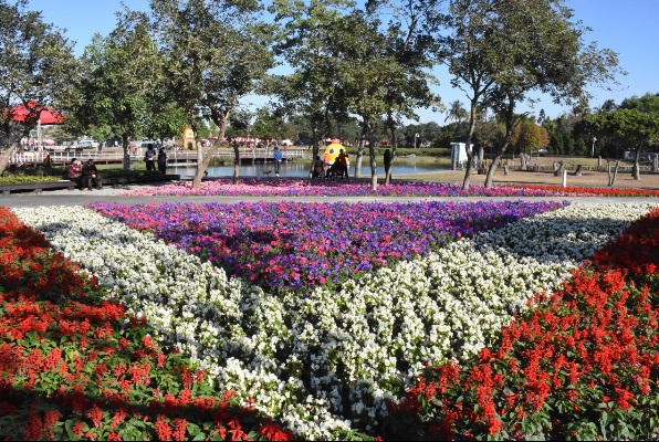 新春公路花園  花在彰化雞祥富貴