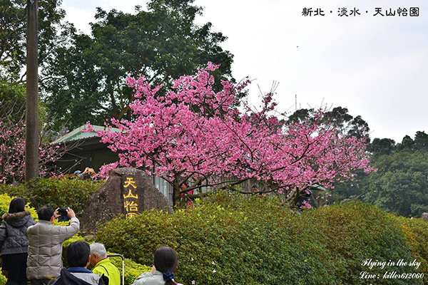 淡水天山怡園 (圖片提供／飛翔在天際)