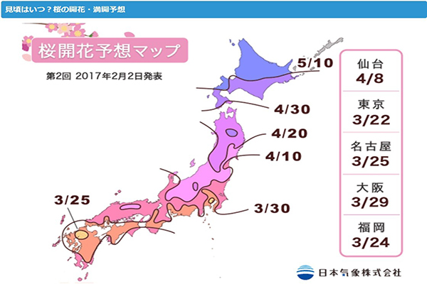 日本賞櫻情報最前線  最新開花預測