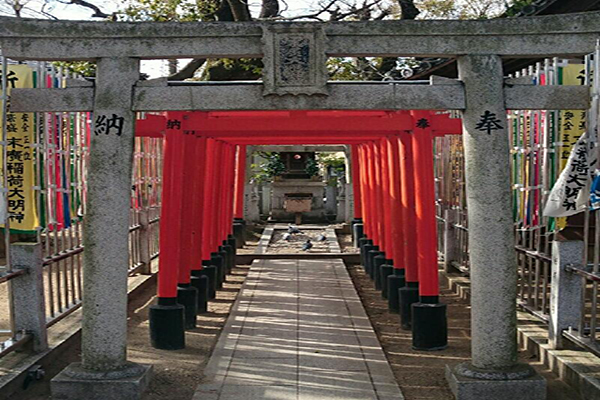 布忍神社一整排的鳥居 (圖片來源／布忍神社)