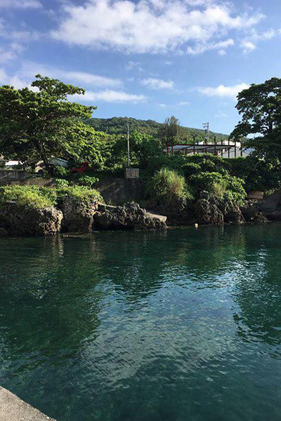 WaDa野居露營區 (圖片來源／WaDa野居露營區)