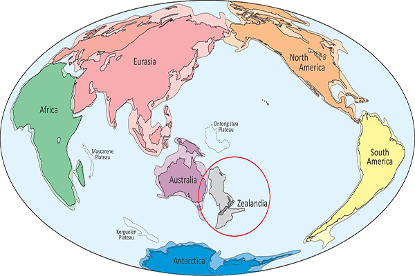 西蘭大陸從古大陸岡瓦那大陸分裂，成為新大陸沉沒於海中 (圖片來源／GNS Science)