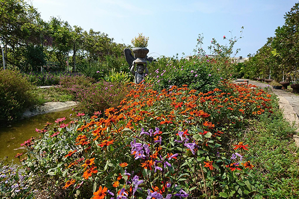 紫藤咖啡園也能欣賞到玫瑰花、天使花、紫鳶花等各種繽紛花卉 (圖片來源／紫藤咖啡園)