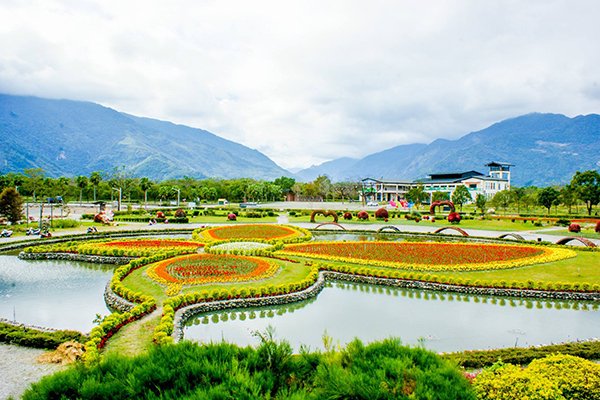 池上鄉農會四季花海 (圖片來源／花東縱谷國家風景區管理處)