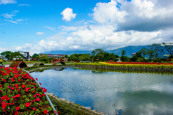 池上鄉農會四季花海，台東絕美秘境 (圖片來源／花東縱谷國家風景區管理處)