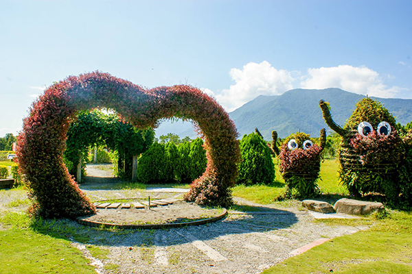 池上鄉農會四季花海的愛心拱門造景 (圖片來源／花東縱谷國家風景區管理處)